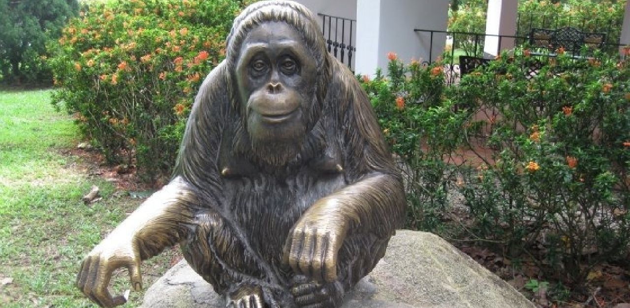 Revisiting Grand Dame Ah Meng On International Orangutan Day